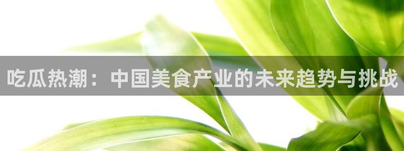51cg吃瓜网今日吃瓜:吃瓜热潮:中国美食产业的未来趋势与挑战