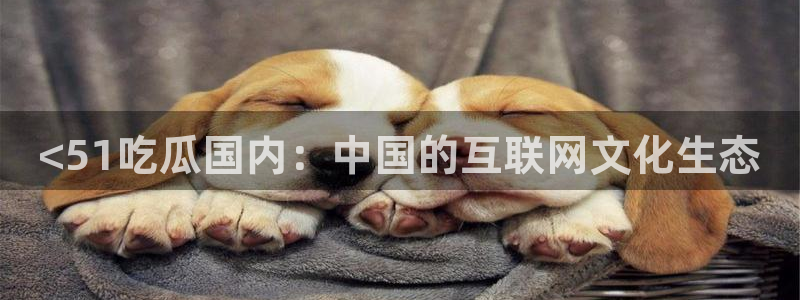 吃瓜群众中的瓜指的是:<51吃瓜国内:中国的互联网文化生态