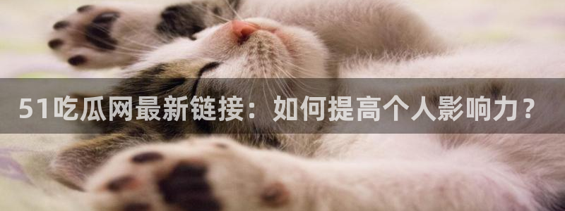 51吃瓜张津瑜:51吃瓜网最新链接:如何提高个人影响力?